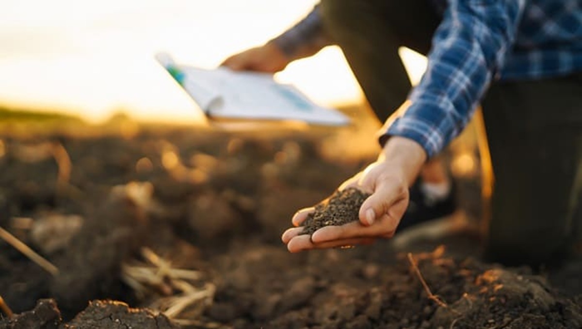 Servicio de análisis metagenómico para el mejor manejo de suelos agrícolas 3.jpg